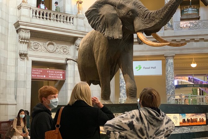 Smithsonian Museum of Natural History Guided Tour - The $75 price and what you are really buying