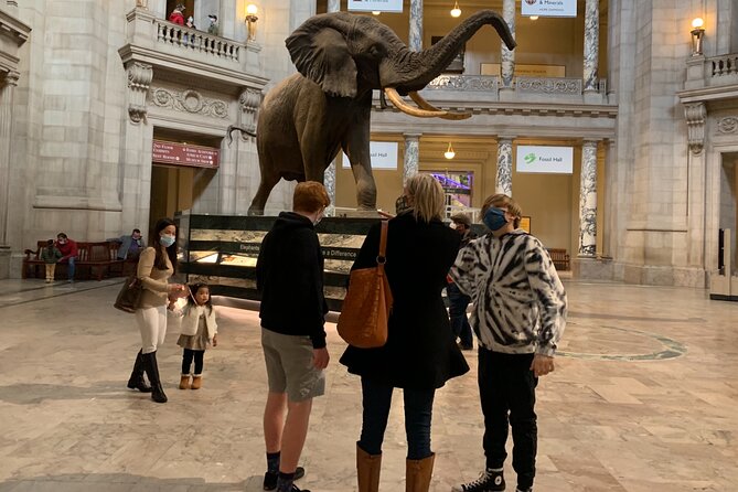 Smithsonian Museum of Natural History Guided Tour - Staying after the guided visit