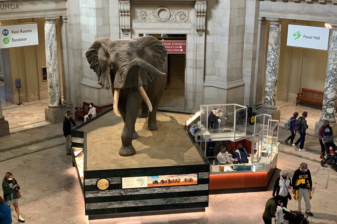 Smithsonian Museum of Natural History Guided Tour - The biggest risk: guide arrival and cancellations