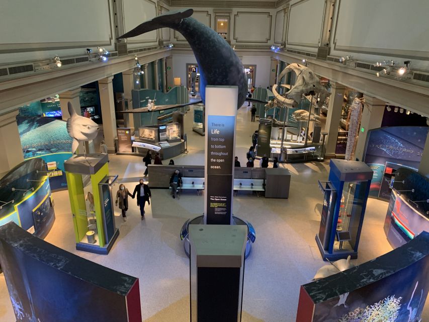 Smithsonian National Museum of Natural History Guided Tour - Key points to know before you book
