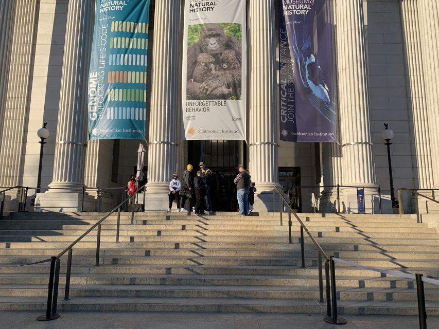 Smithsonian National Museum of Natural History Guided Tour - Best for families, first-time visitors, and short Washington stays