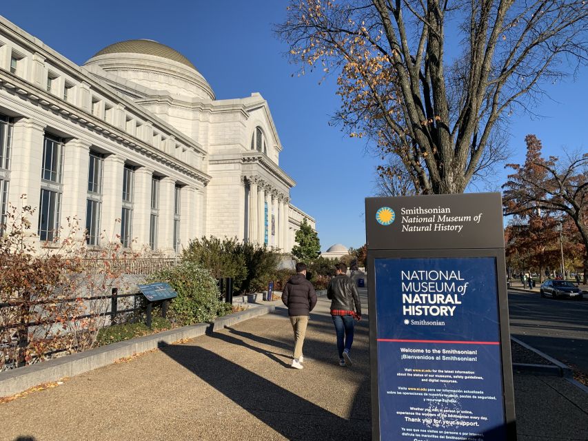 Smithsonian National Museum of Natural History Guided Tour - Dinosaurs, early humans, and the first major stops