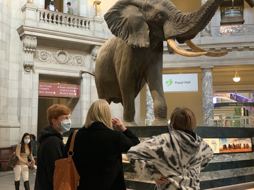 Smithsonian National Museum of Natural History Guided Tour - Gemstones and mummies add a change of pace