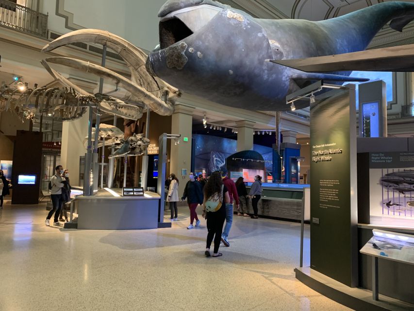 Smithsonian National Museum of Natural History Guided Tour - Human artifacts, plants, and animals beyond the headline exhibits