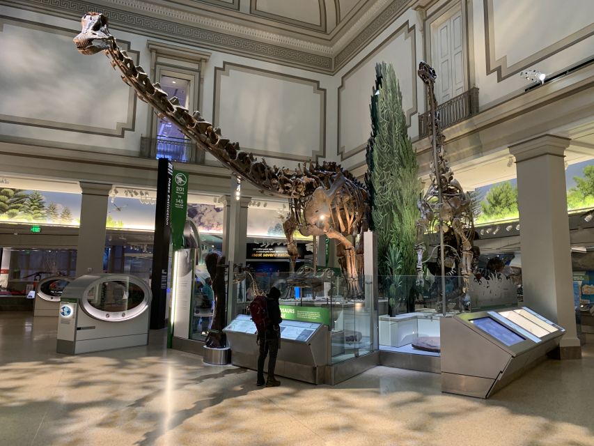 Smithsonian National Museum of Natural History Guided Tour - Is $75 a fair price when entry is free?