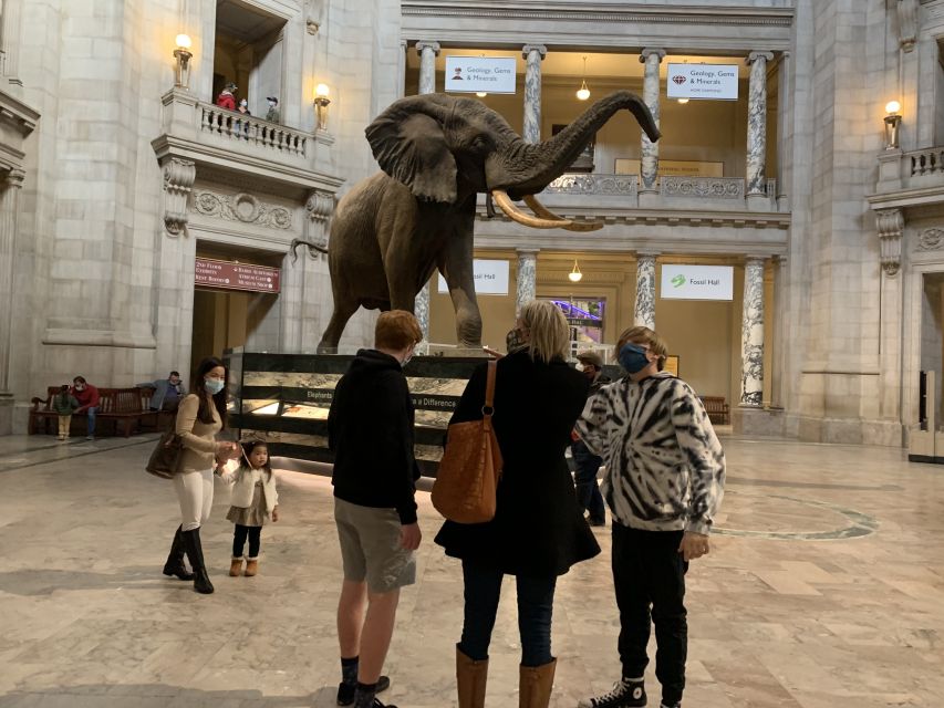 Smithsonian National Museum of Natural History Guided Tour - What two hours can and cannot cover