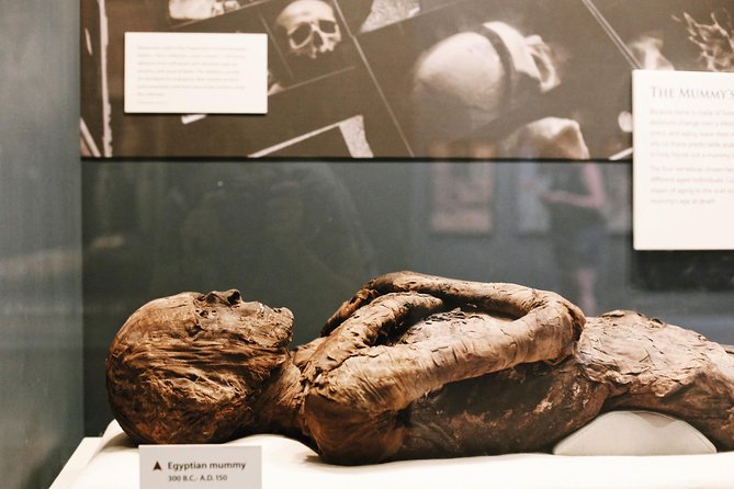 Smithsonian Natural History + Museum of American History 8ppl Max - Practical rules that can affect your day
