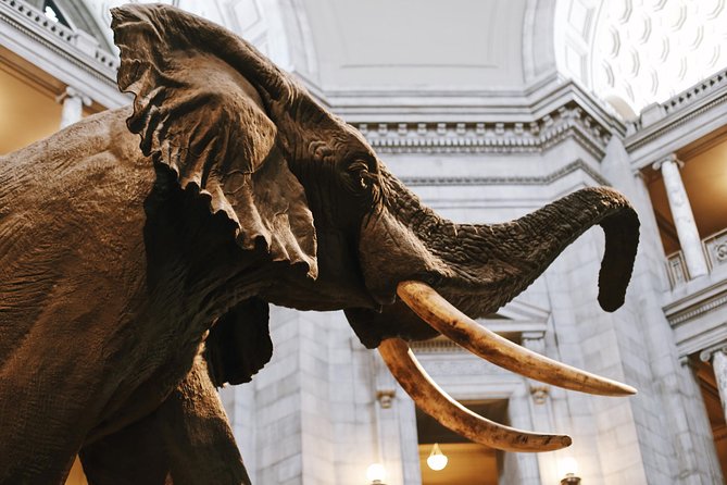 Smithsonian Natural History + Museum of American History 8ppl Max - Who will get the most from this tour?