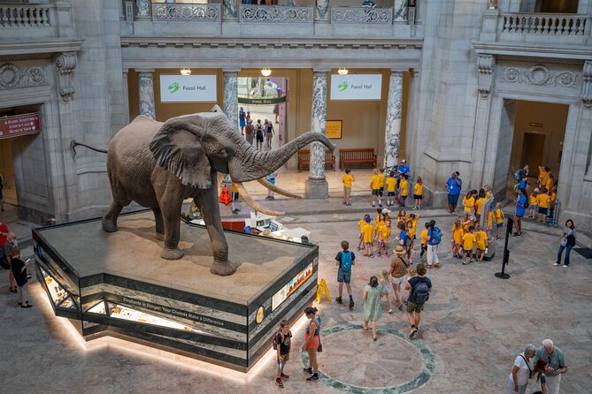 Smithsonian Natural History Museum Semi-Private Guided Tour - Key points at a glance