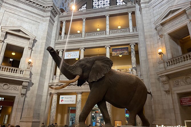 Smithsonian Natural History Museum Semi-Private Guided Tour - Starting at the Unscripted Welcome Center