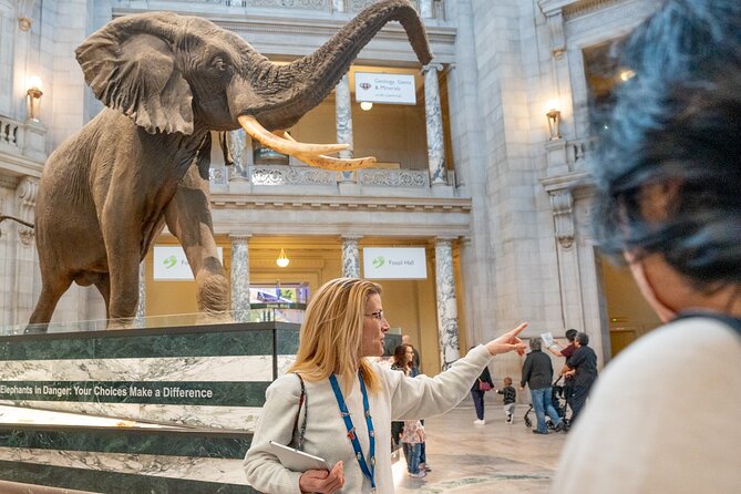 Smithsonian Natural History Museum Semi-Private Guided Tour - Henry the Elephant and the museum’s big first impressions