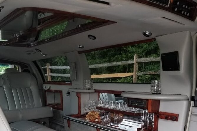 Stretch Limo Private Day & Night Custom Tours of Washington DC - Commentary can make or break the ride