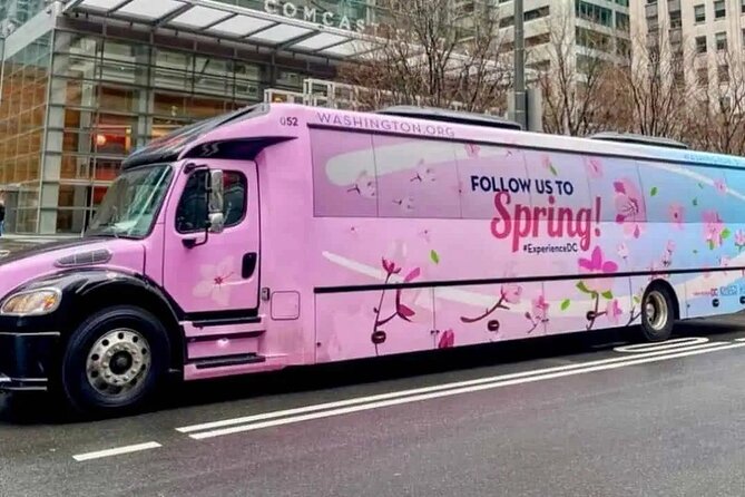 The DC Cherry Blossom Bus Tour with Tidal Basin Guided Walk - Who should book this morning tour?
