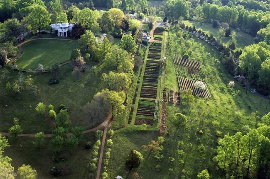 Thomas Jefferson Monticello Small Group Day Tour from DC - The grounds, mountain views, and time to think