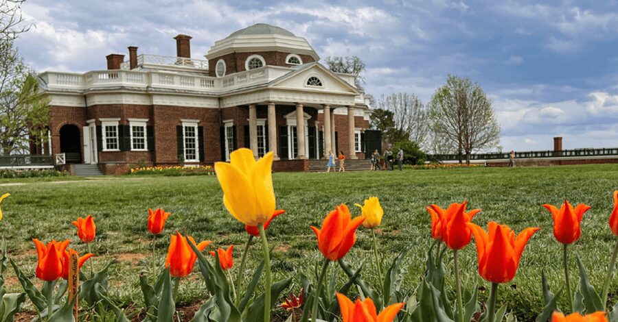 Thomas Jefferson Monticello Small Group Day Tour from DC - Who should book this Monticello day trip?
