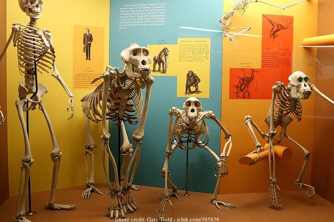 Two Smithsonian Museums Private Tour: American & Natural History - Two Smithsonian museums, one tightly packed afternoon