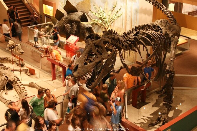 Two Smithsonian Museums Private Tour: American & Natural History - Timing, meeting points, and the walk between museums