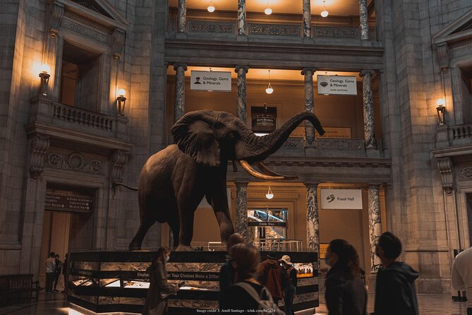 Two Smithsonian Museums Private Tour: American & Natural History - Natural History: diamonds, dinosaurs, and the ocean floor