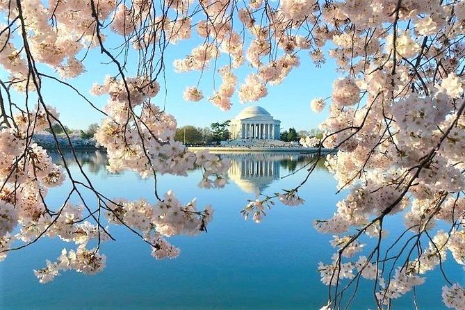 Ultimate Private City Tour of Washington DC - Up to 5 Guests - Capitol Hill, the Supreme Court area, and the Library of Congress