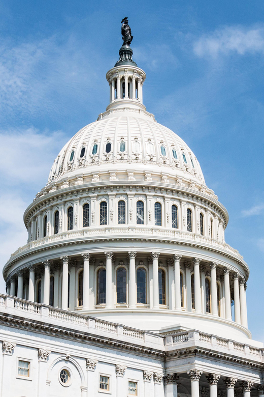 Washington D.C. 1 Day Tour from New York City - The Capitol and National Mall