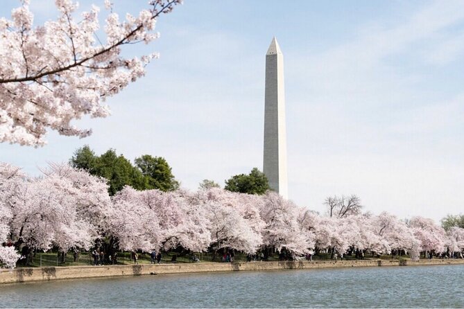 Washington, D.C. Private 4-Hour Day Tour - Lincoln, Vietnam, Korea, and World War II