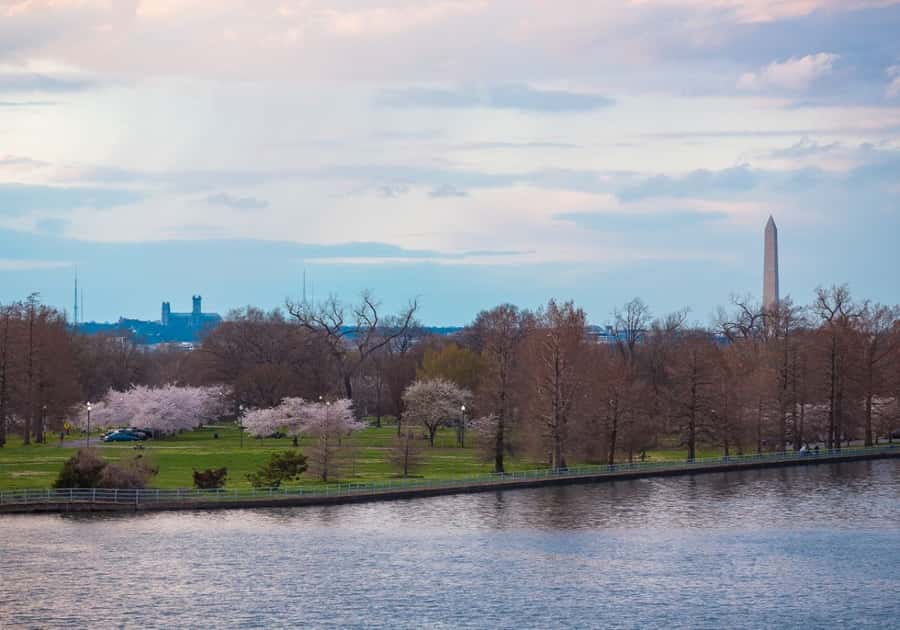Washington DC: 1 or 2-Day Unlimited Water Taxi Pass - Alexandria City Marina behind the Torpedo Factory