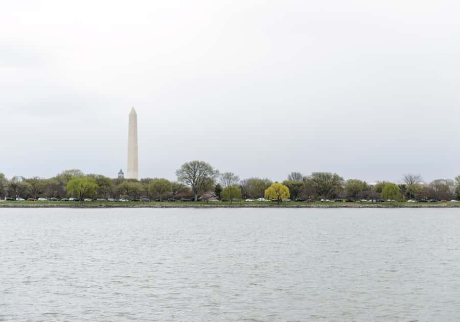 Washington DC: 1 or 2-Day Unlimited Water Taxi Pass - Practical boarding advice