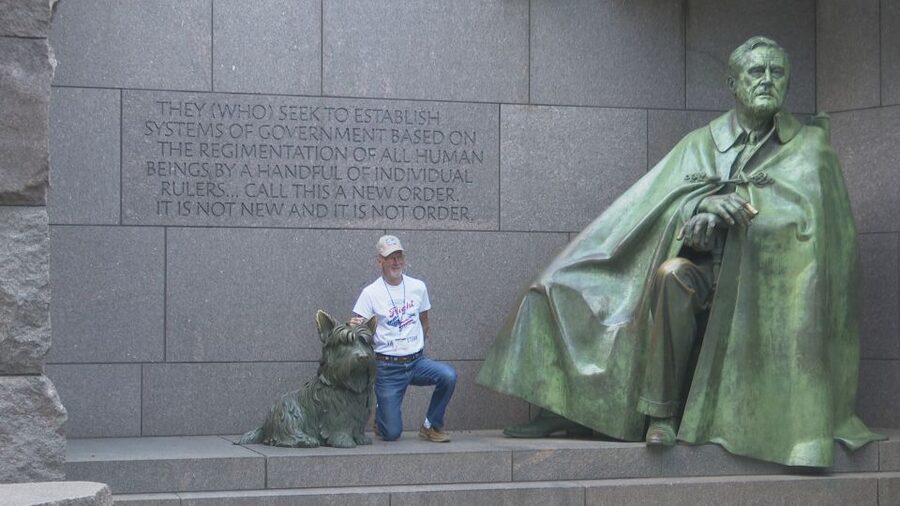 Washington DC: Cherry Blossom Walking Tour - Key points at a glance