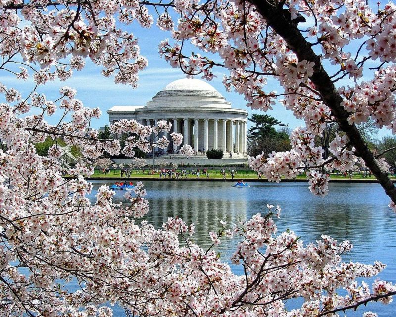 Washington DC: Cherry Blossom Walking Tour - Starting at the Washington Monument Lodge