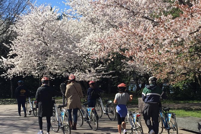 Washington DC Cherry Blossoms By Bike Tour - What the two-hour route is really like