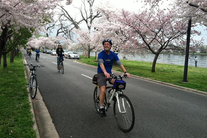 Washington DC Cherry Blossoms By Bike Tour - MLK Memorial and the Stone of Hope