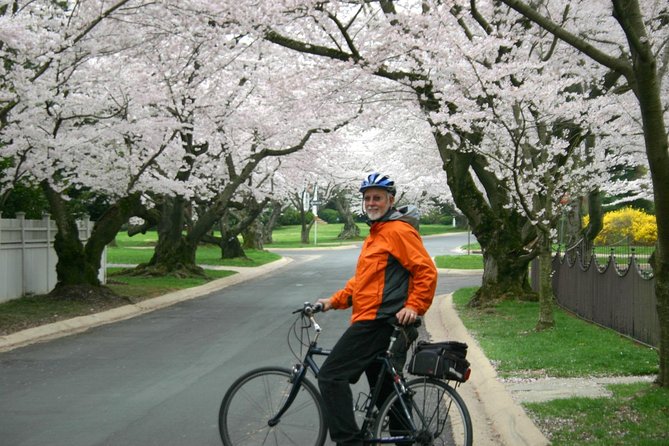 Washington DC Cherry Blossoms By Bike Tour - Bikes, seats, children, and comfort