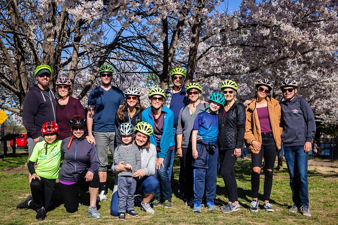 Washington DC Cherry Blossoms By Bike Tour - Japanese Stone Lantern and the first trees