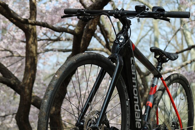 Washington DC eBike Rental with Helmet and Handlebar Bag for 16+ - Who will get the most from this rental