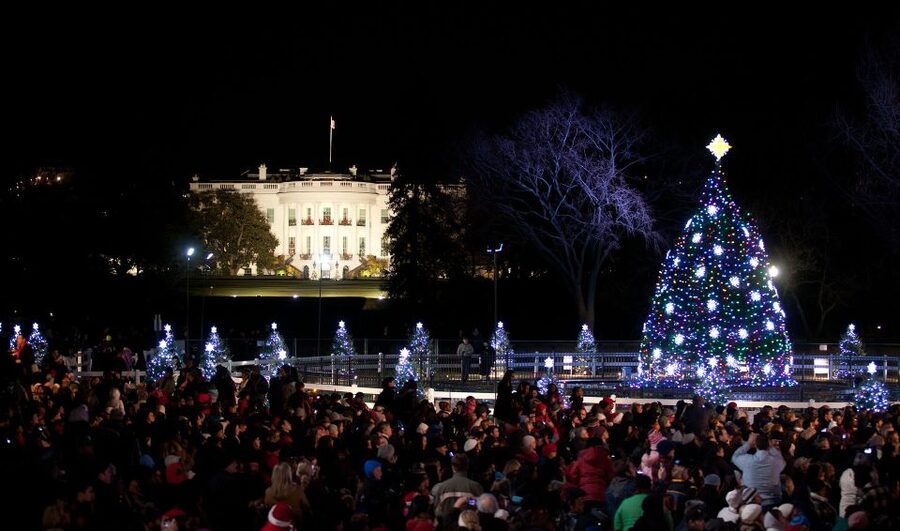 Washington, DC: Holiday Lights Nighttime Bus Tour - What the bus views really include