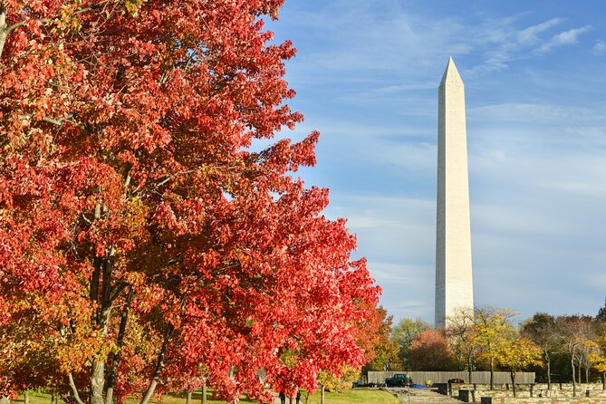 Washington DC Monuments Self-Guided Walking Audio Tour - Lincoln’s memorial and the Korean War memorial