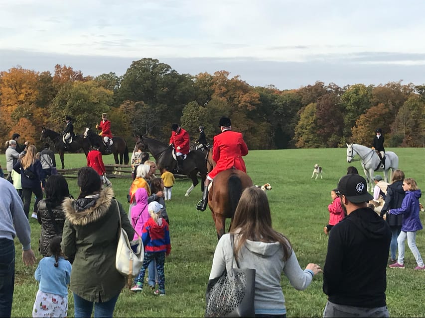 Washington DC: Mount Vernon Half-Day Tour - Should you book the Mount Vernon half-day tour?