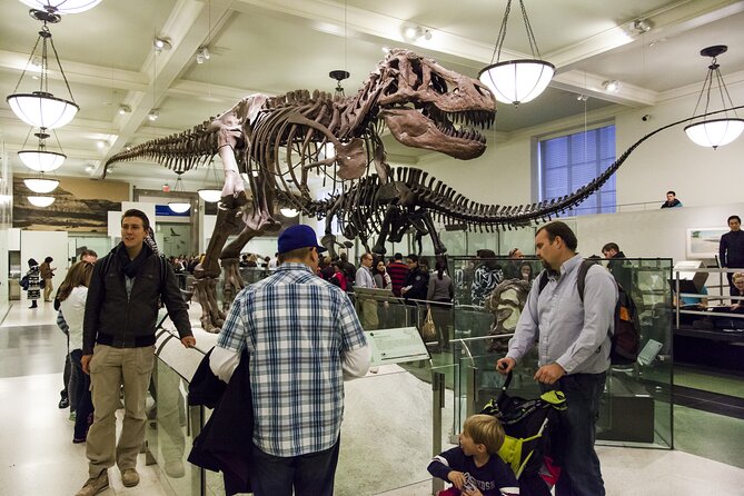 Washington DC Museum of Natural History Private Family tour - What the Two-Hour Family Tour Really Offers