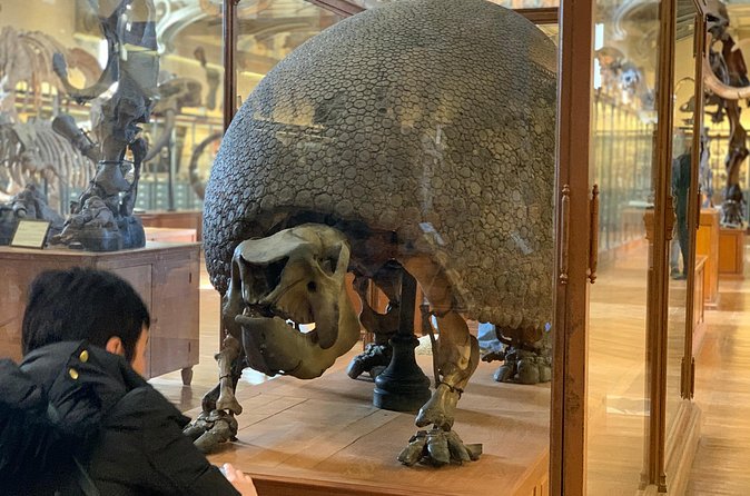 Washington DC Museum of Natural History Private Family tour - Why the $350 Price Needs a Close Look