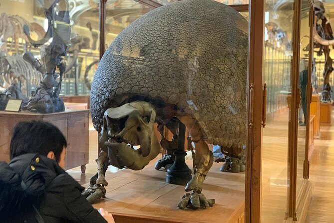 Washington DC Museum of Natural History Private Family tour - What Happens After the Guided Portion