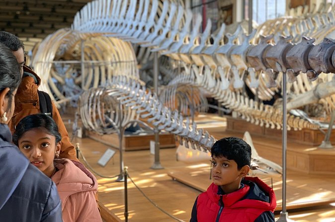 Washington DC Museum of Natural History Private Family tour - Who Will Get the Most From This Experience