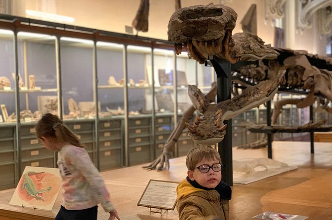 Washington DC Museum of Natural History Private Family tour - Practical Booking Advice for Families