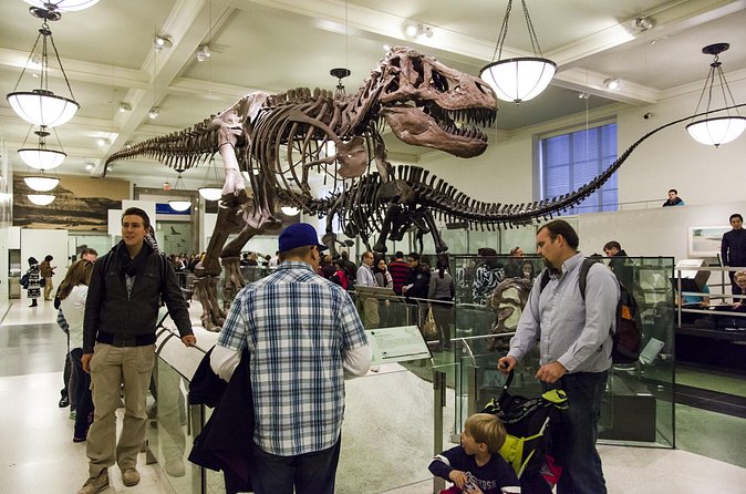 Washington DC Museum of Natural History Private Family tour - My Verdict on the Family Museum Tour