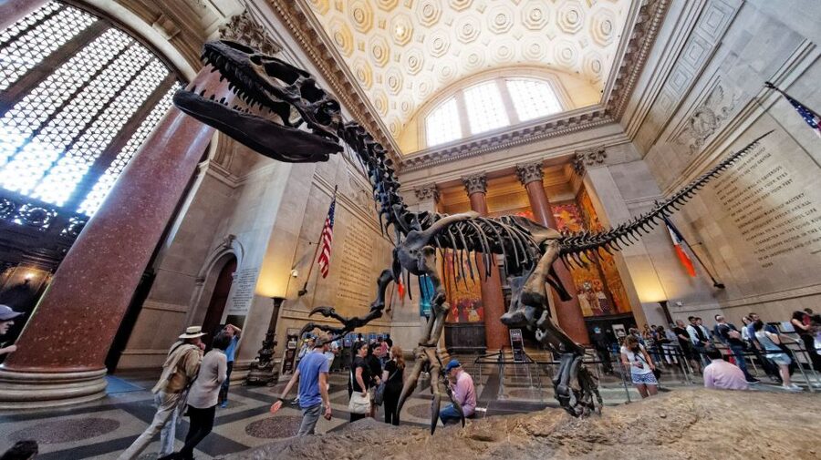 Washington DC: Museum of Natural History Private Guided Tour - The guide can make or break the family experience