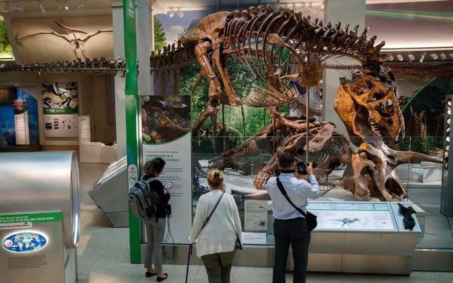 Washington DC: Museum of Natural History Private Guided Tour - Is $350 a fair price for two hours?