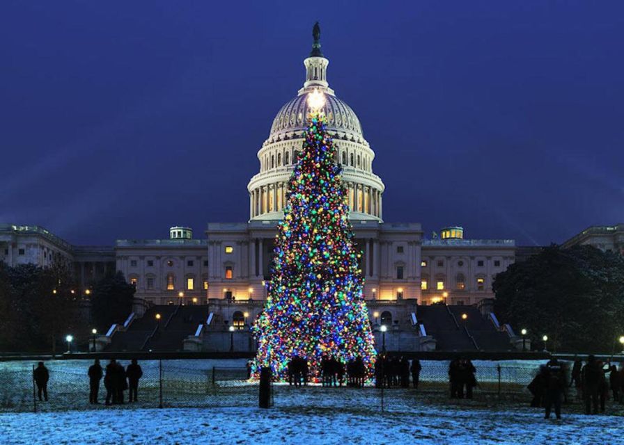 Washington, DC: National Mall and Memorials Moonlight Tour - The MLK Memorial and the Lincoln Memorial