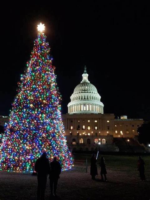 Washington, DC: National Mall and Memorials Moonlight Tour - What the guides add to the experience