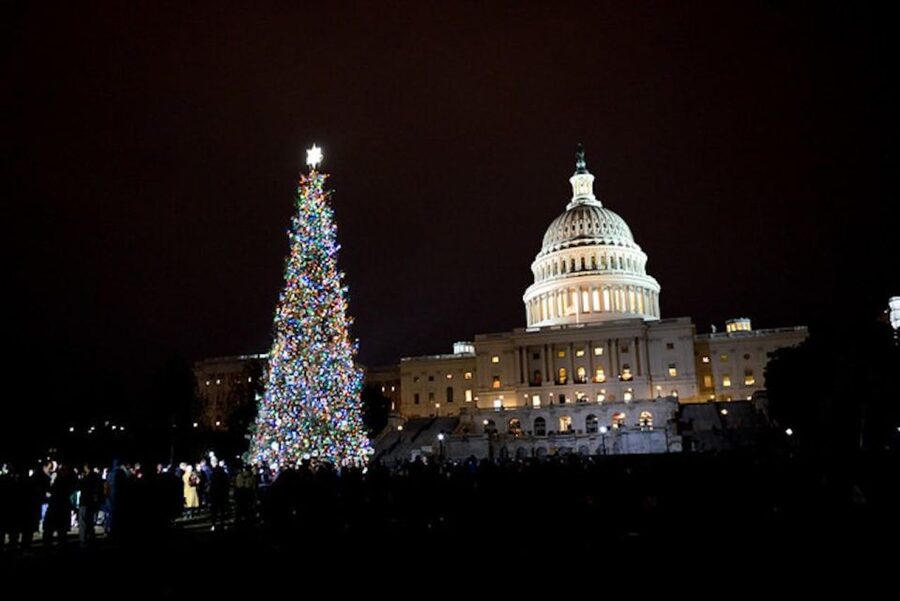 Washington, DC: National Mall and Memorials Moonlight Tour - The Capitol and White House photo stops