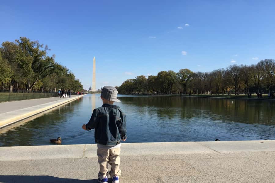 Washington DC: National Mall Walking Tour - Starting at the Washington Monument