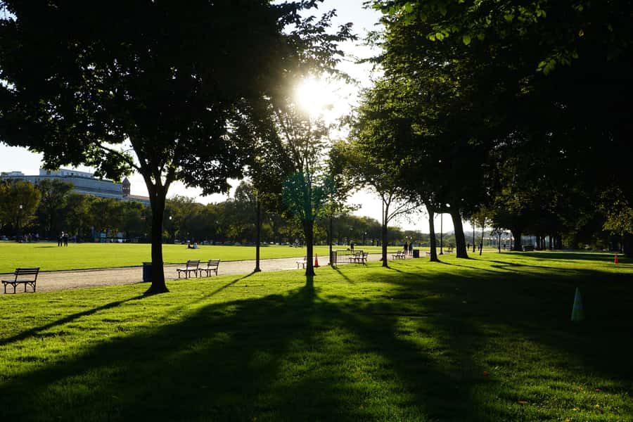 Washington DC: National Mall Walking Tour - The Korean War Memorial and the Forgotten War